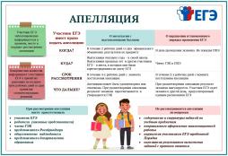 Правила подачи апелляции